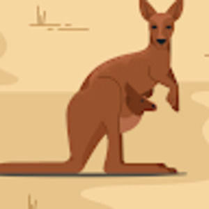 Meet your Posher, Joe